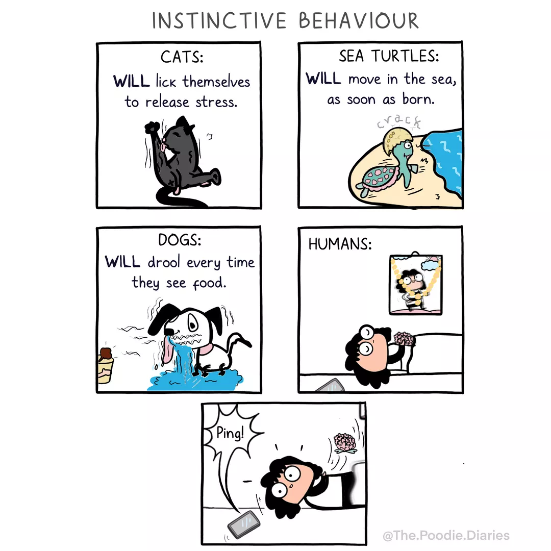 Instinctive behaviour