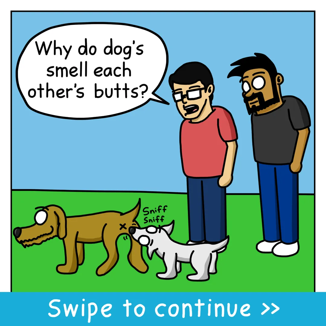 Smells