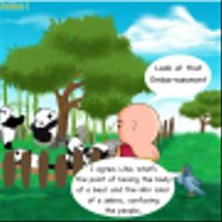 What's your spirit animal?